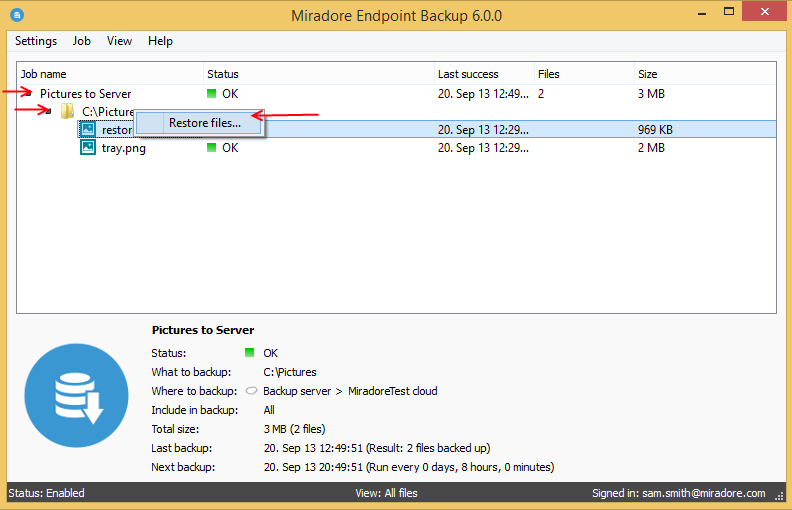 How to restore only selected files in Endpoint backup client